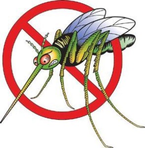 come-combattere-le-zanzare